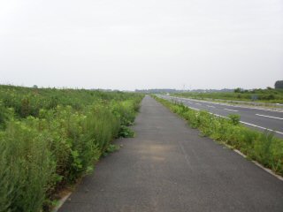 何もない道