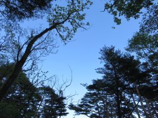空