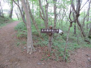 分かれ道