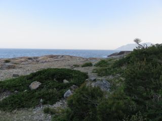 海辺