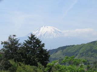 富士山