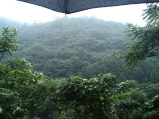 田舎