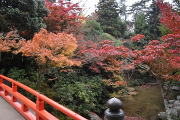 紅葉谷公園